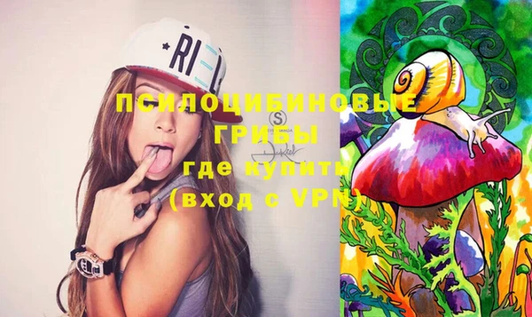 мяу мяу мука Надым