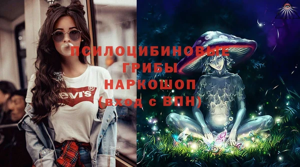 спайс Михайлов