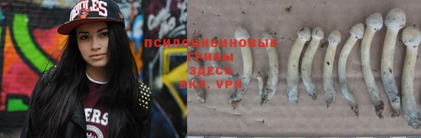 гидра Михайловск