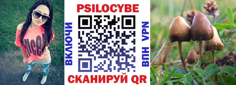 Псилоцибиновые грибы Psilocybine cubensis  Купить закладки  Нарьян-Мар 